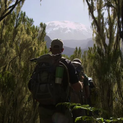 Trek marangu